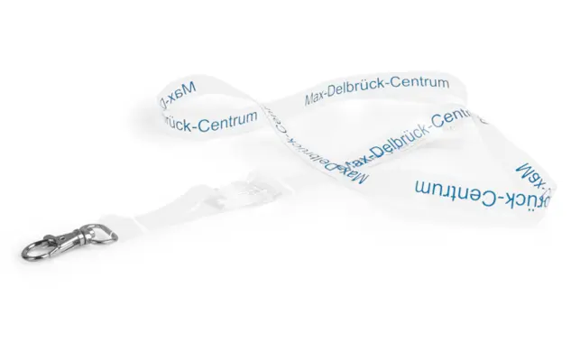 Schlüsselband aus Latex Dieses Latex-Schlüsselband hat einen einfarbigen Druck und einen praktischen, transparenten Clip-Lock Steckverschluss.