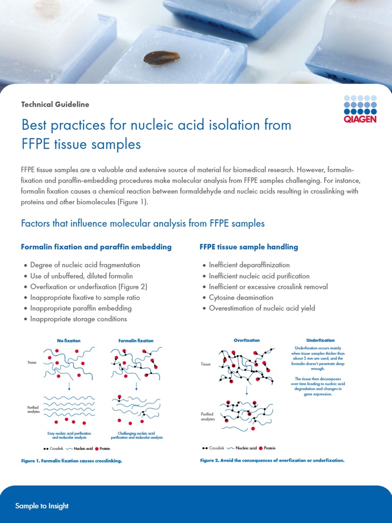 QPRO-7476 TG FFPE Sample Prep CanRes 0724 WW chr